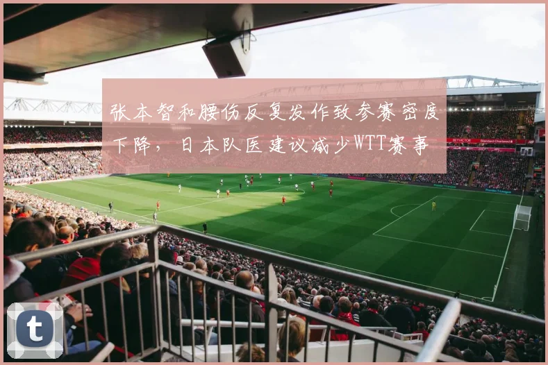 张本智和腰伤反复发作致参赛密度下降,日本队医建议减少WTT赛事