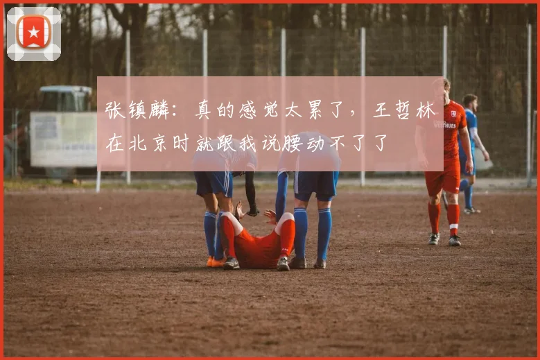 张镇麟:真的感觉太累了,王哲林在北京时就跟我说腰动不了了